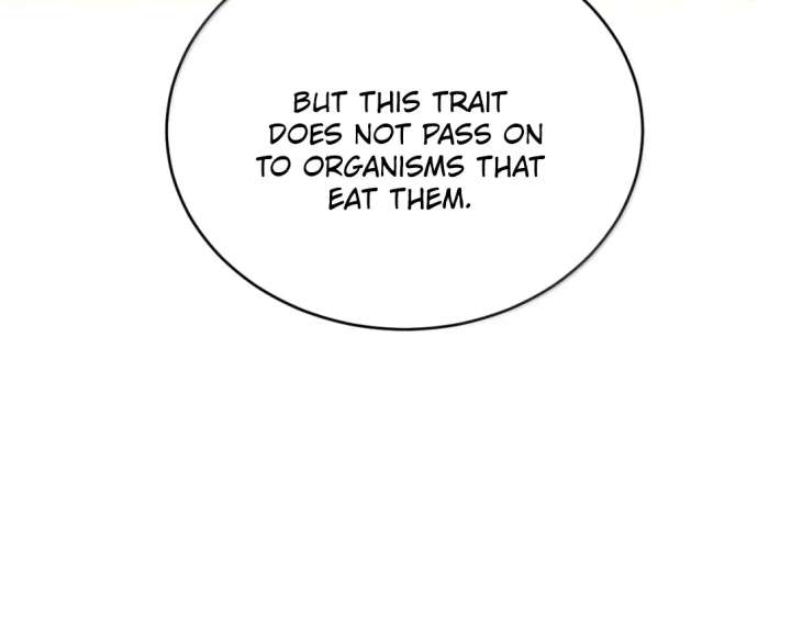Image page 51