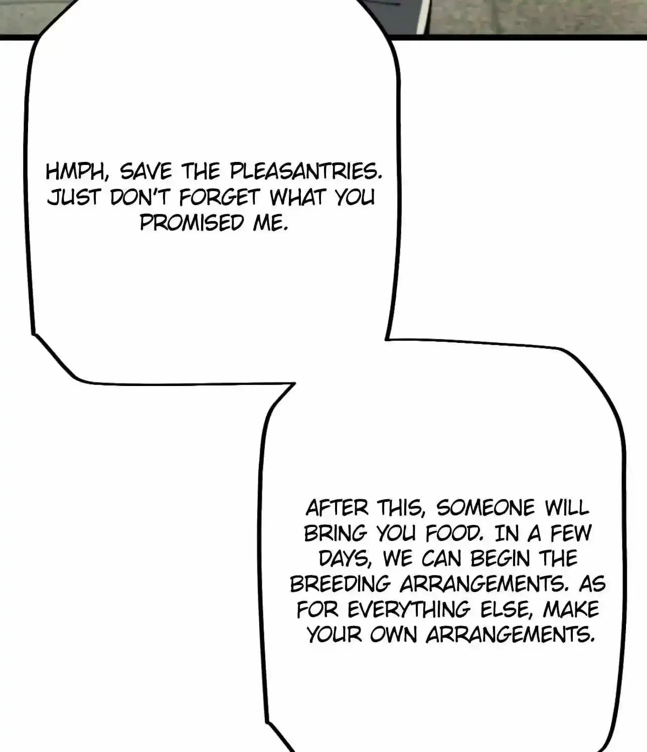 Image page 5