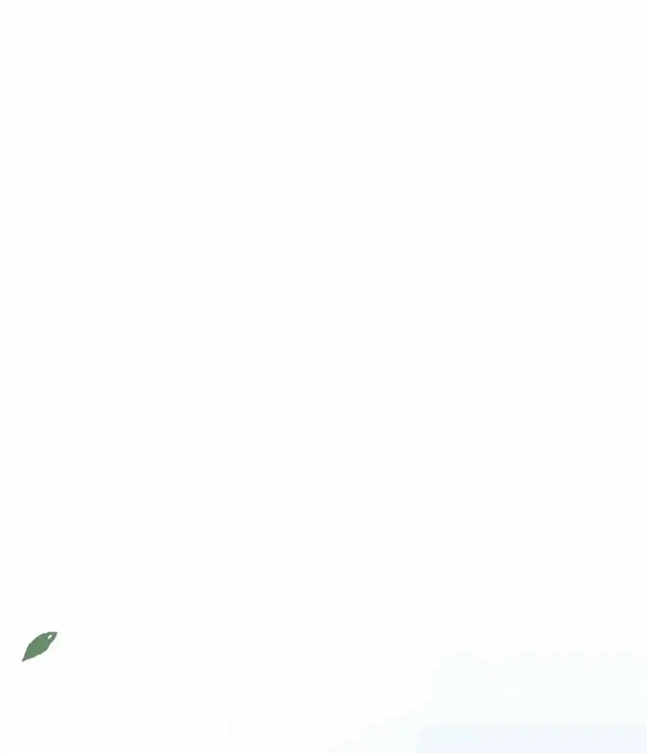 Image page 74
