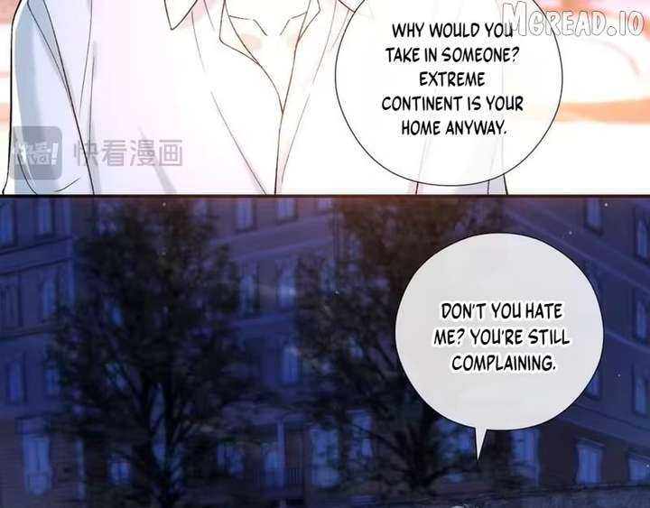 Image page 11