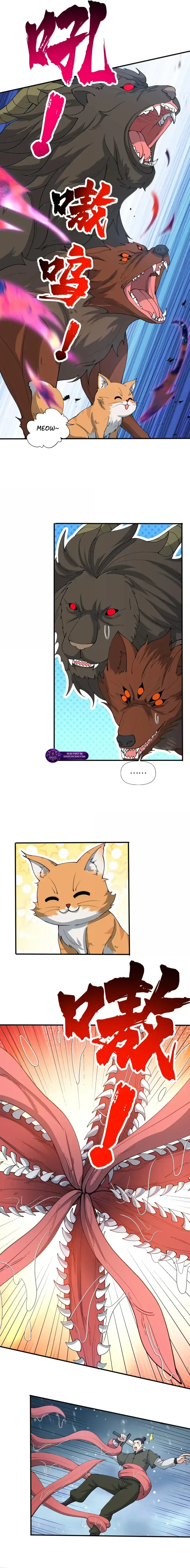Image page 7