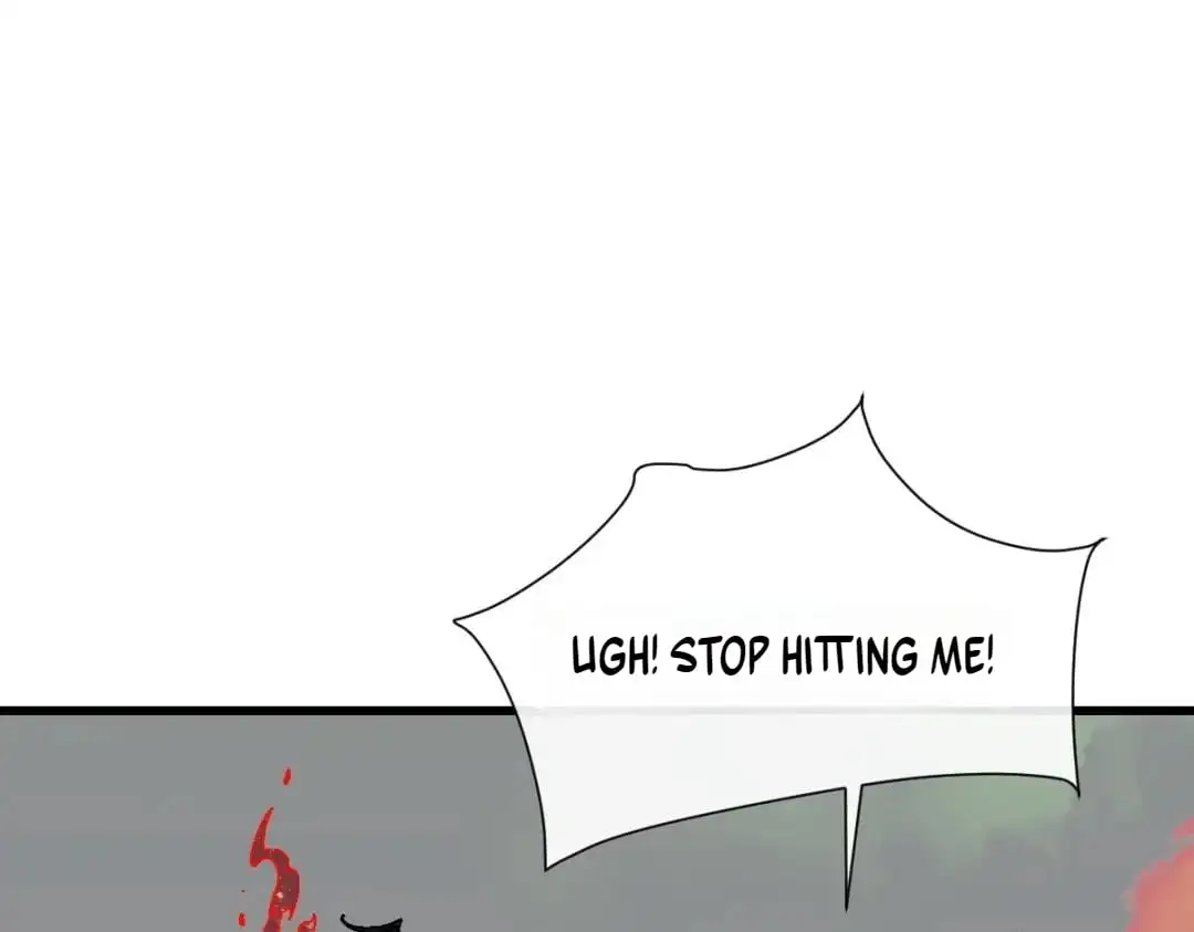 Image page 12