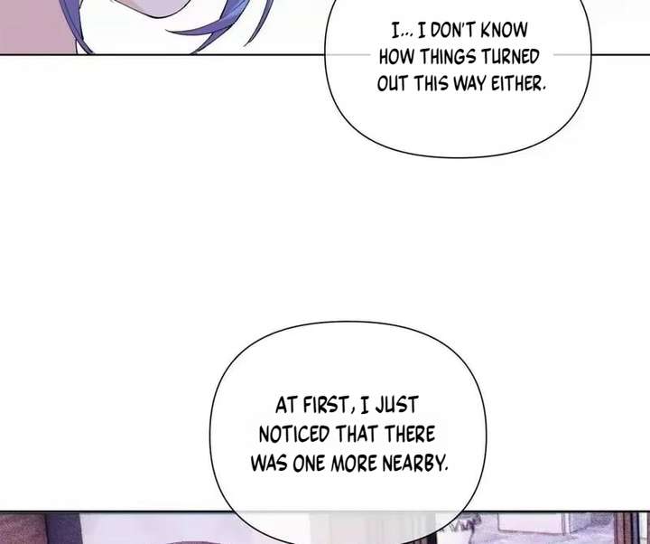 Image page 19