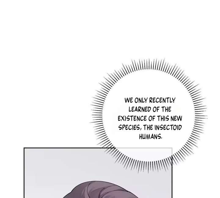Image page 36