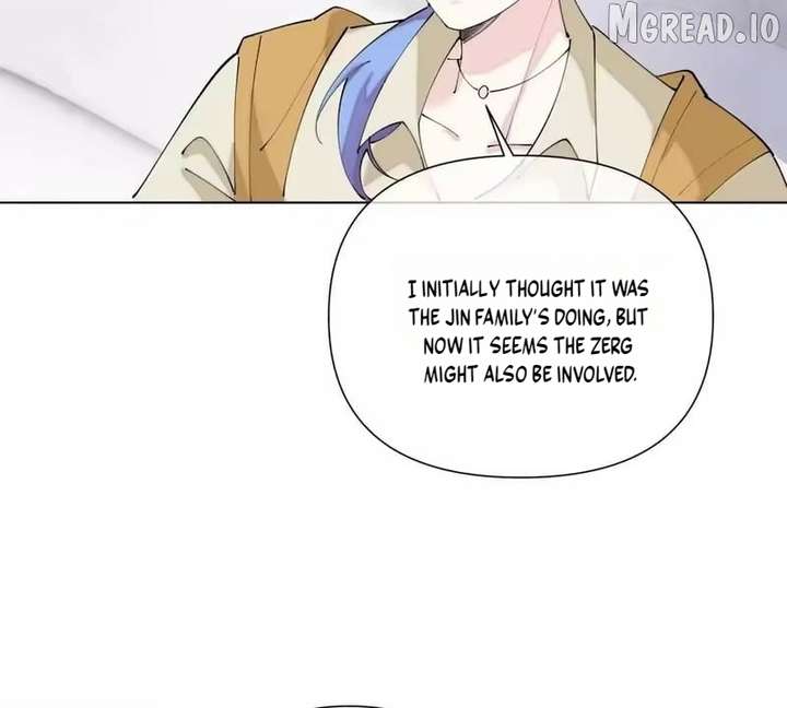 Image page 12