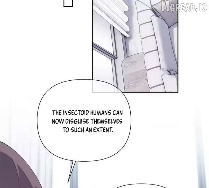 Image page 6
