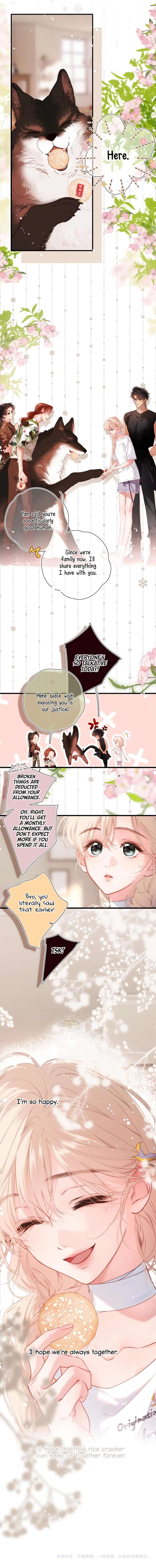 Image page 11