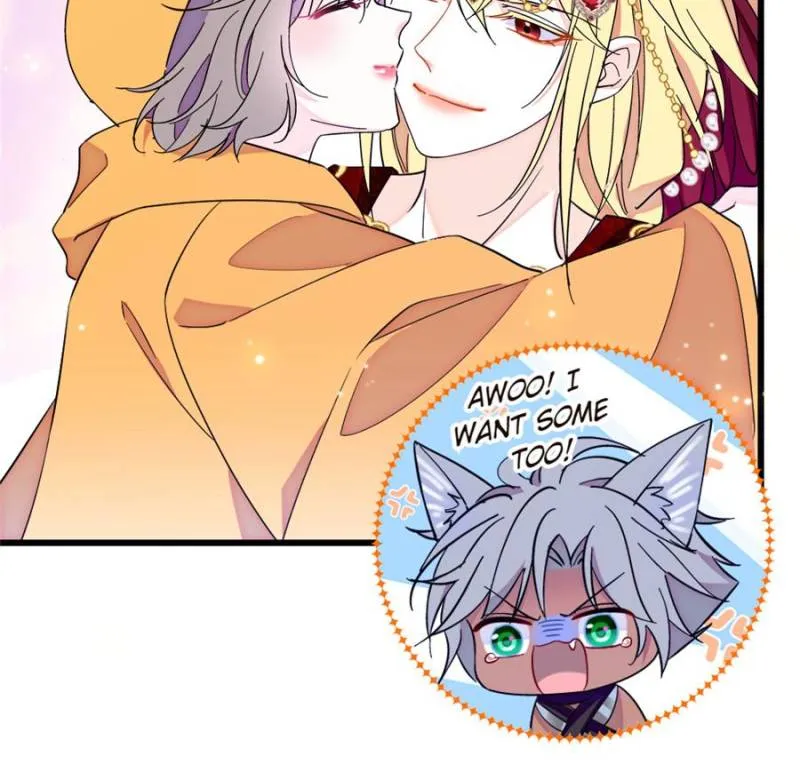 Image page 11